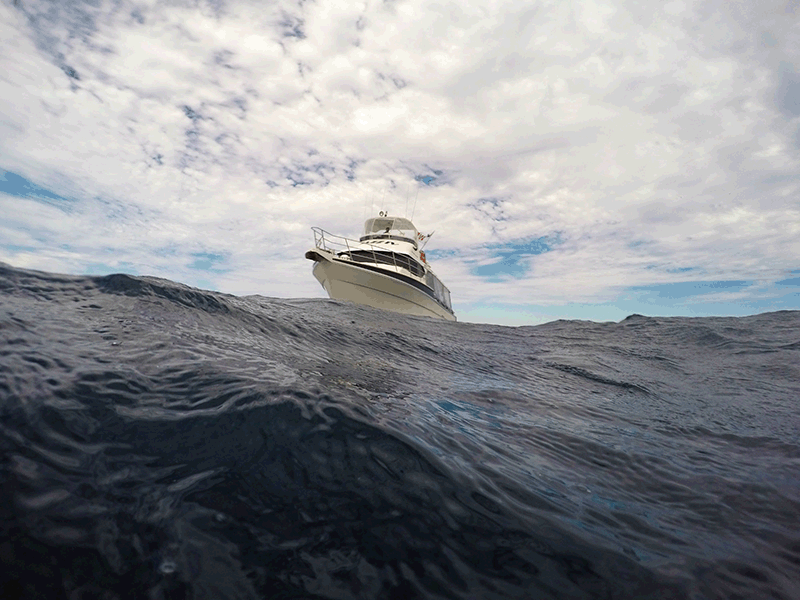 yacht sailing