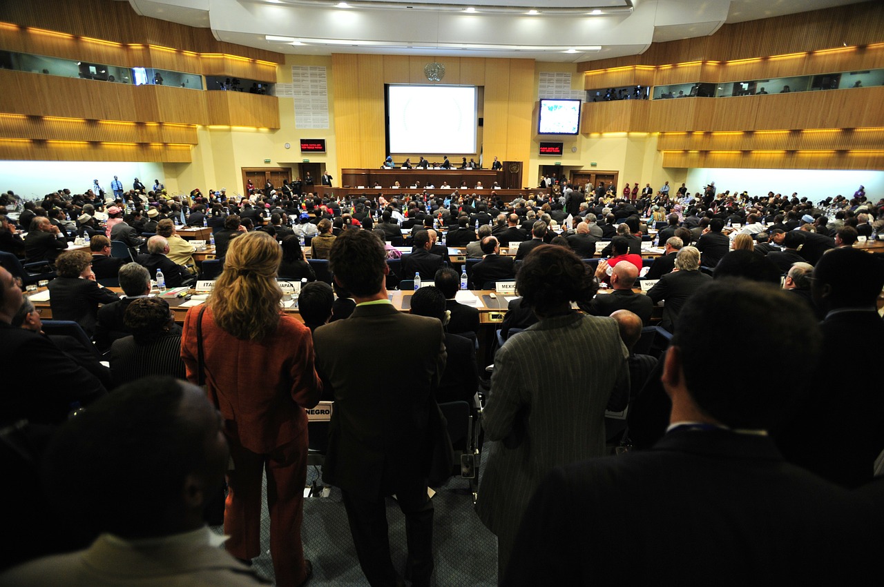 a huge crowd