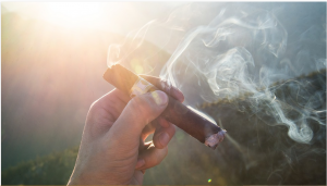 choose the right cigar